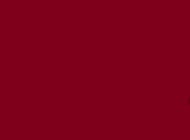 Duni prestieranie Bordeaux - Paper, 35x45 cm [250 ks]_1