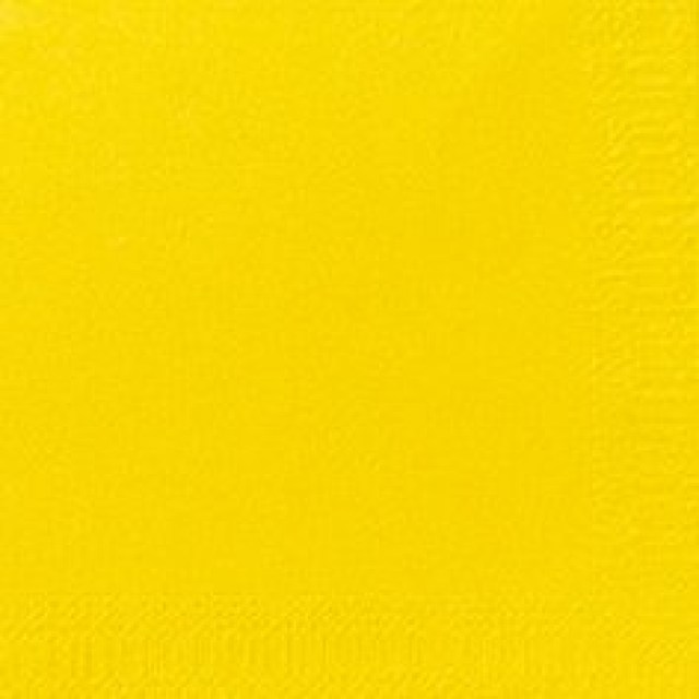 DUNI Servítka 2vrstvové 24 × 24 cm žltá [300 ks]_1