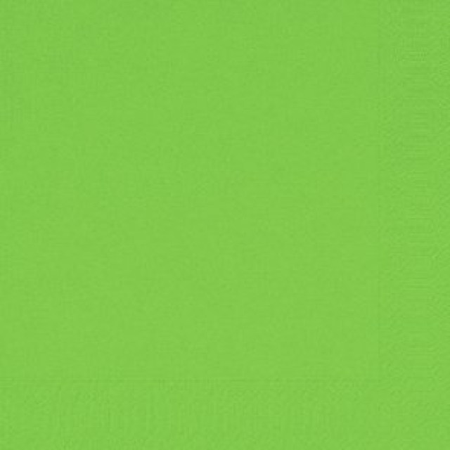 DUNI Servítka 2vrstvové 24 × 24 cm kiwi [300 ks]_1