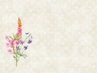 DUNI Prestieranie D-CEL 30 × 40 cm floret [100 ks]_1