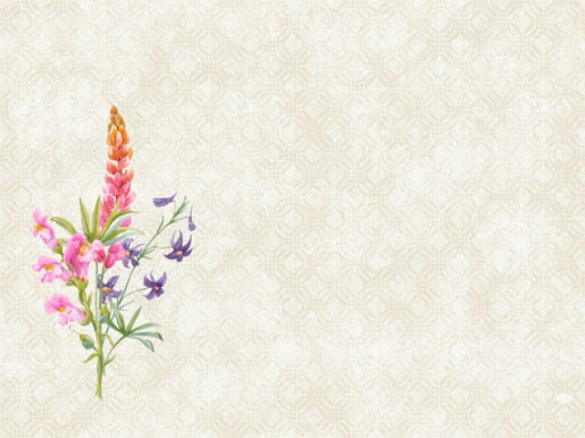 DUNI Prestieranie D-CEL 30 × 40 cm floret [100 ks]_1