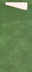 Duni sacchetto tissue Darkgreen - 190 x 85 mm [100 ks]_1