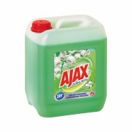 AJAX Floral Fiesta 5l - MIX HY103794