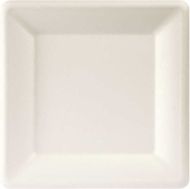Tanier Fibre Bagasse 26x26 cm [50 ks]_1