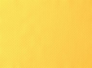 Duni prestieranie Yellow - Paper, 30x40 cm [500 ks]_1