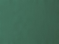 Duni prestieranie Dark Green - Paper, 30x40 cm [500 ks]_1