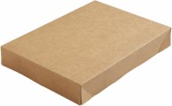 Viečko Viking Crd/Pe Brick 200x140x30 mm [300 ks]_1