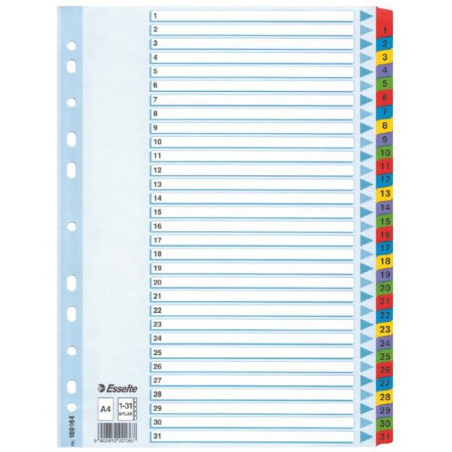 Kartónový rozraďovač Esselte Mylar 1-31_1