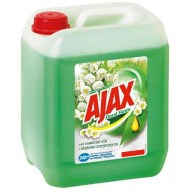 Ajax na podlahy Floral Fiesta 5 l Spring Flowers (zelený)