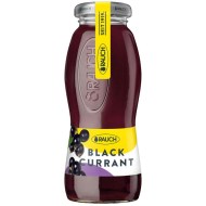 Džús RAUCH Čierna ríbezľa 25%  24 x 0,2 l NEVRATNÉ SKLO_1
