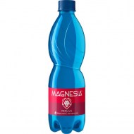 Minerálna voda MAGNESIAZsýtená 12x0,5l_1