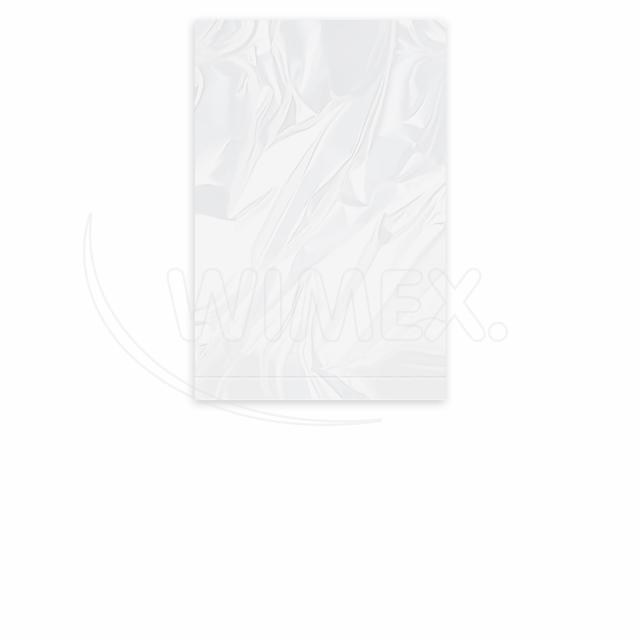 Vrecko ploché (LDPE) silné transparentné 20 x 30 cm [100 ks]_4